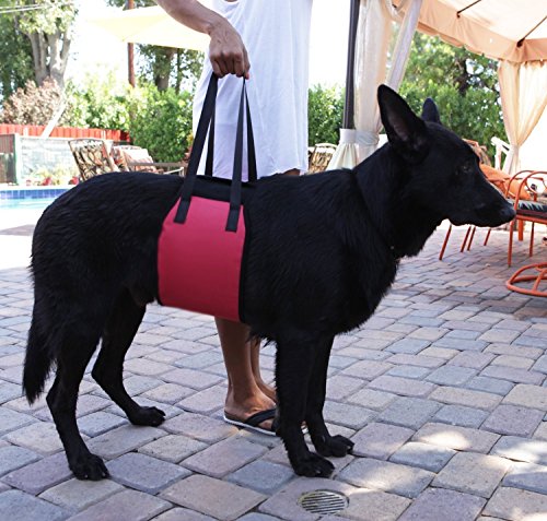 Jhua-Dog-Support-Harness-Dog-Lift-Support-Rehabilitation-Harness-for-Canines-Aid-Assist-Sling-to-Help-With-Mobility-Lifting-Older-Young-Puppies-with-Handle-for-Weak-Hind-Legs-Joints-Surgery