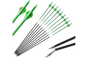 ‎SHARROW SHARROW 12 Stück Carbonpfeile 30 Zoll Bogenpfeile Pfeile für Bogen Spine 500 für Recurvebogen und Compoundbogen