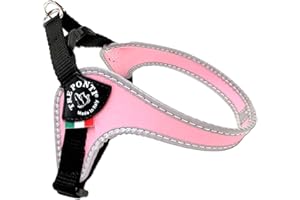 TRE PONTI Treponti Pettorina per Cani di Piccola Taglia, con Fibbia Regolabile sul Ventre,1 unità (Confezione da 1)
