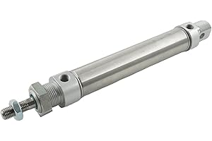 FS FITTINGSTORE Kleinzylinder ISO 6432 / CETOP RP 52 P, doppeltwirkend Magnetkolben Pneumatikzylinder Druckluftzylinder (Kolben Ø: 25 mm // Hub: 600 mm)