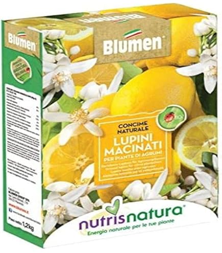 Supporti Per Piante 18 Pezzi - Alt. 27cm, Verde, Per Rose, Ortensie, Pomodori