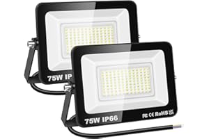 RIGIDON 2x 75W Luci da Esterno, 7500 Lumens Faretto Led, Fari di Sicurezza, Proiettore Led Esterno, Faretti LED Lampada Luce Bianca Freddo 6000K, IP66 Per Giardino Cortile Garage Piazza Officina