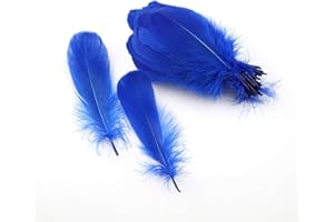Sowder Piume d'oca naturali, accessori per abbigliamento, confezione da 100 (blu reale)