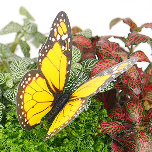 austor 26 x Gartendeko-Schmetterlinge / Libellen auf Stäben, Libellen & Schmetterlinge, Deko für den Garten/Partys - 5