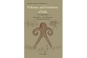 Prehistory and Protohistory of India: An Appraisal - Palaeolithic, Non-Harappan, Chalcolithic Cultures (Perspectives in Indian Art & Archaeology S., No. 7)