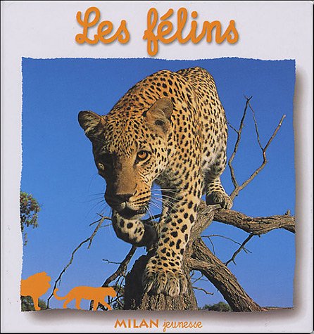 Les félins