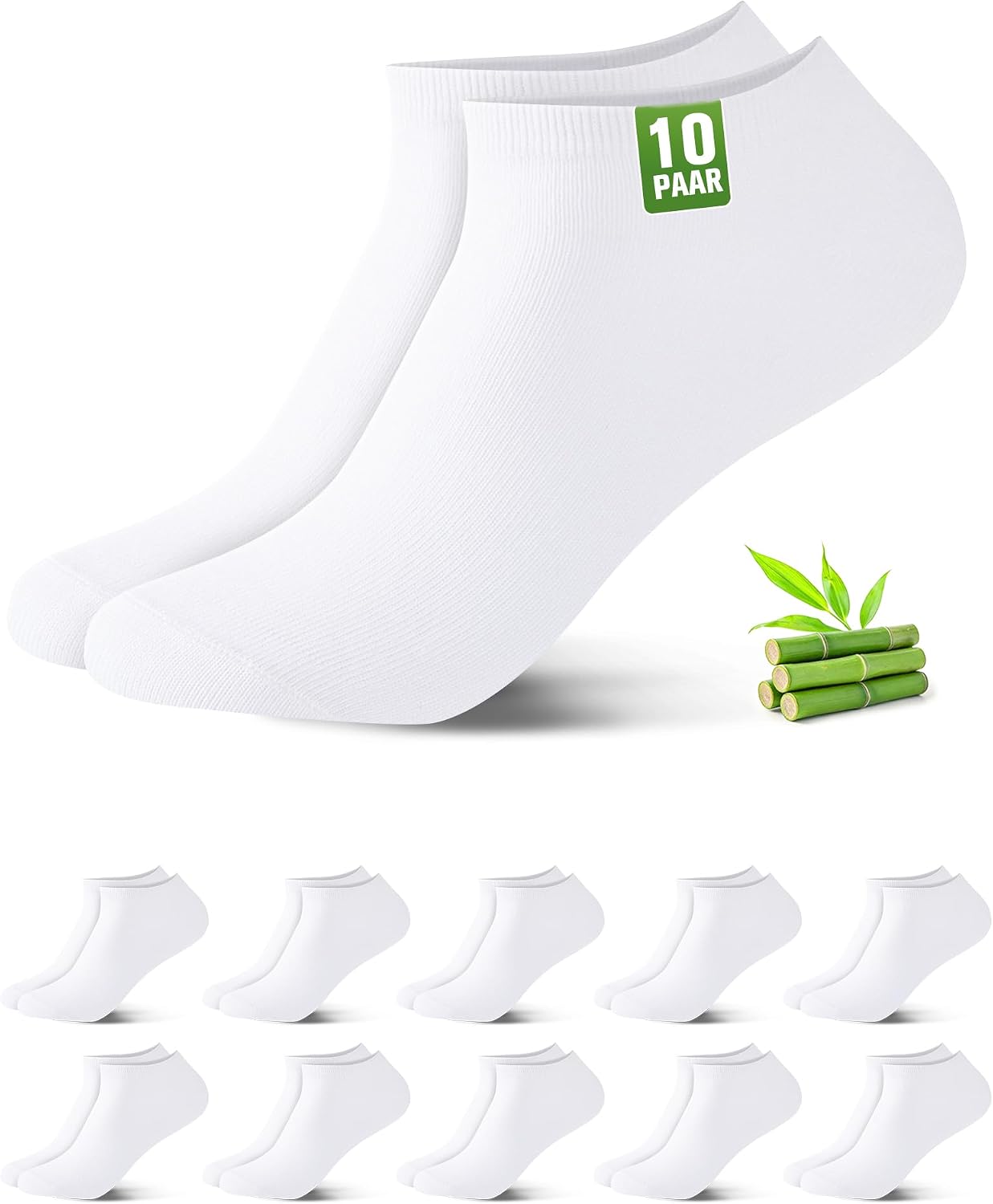 Vue 12