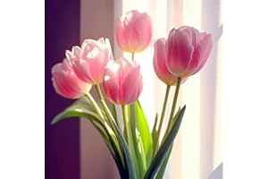 PJFNHD Decorazione del giardino Tulipani bulbi Tulipani bulbi olandesi