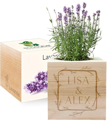 Organizer Da Scrivania Personalizzato Festa Del Papà - Con EcoCube Per Pianta Di Girasole, Regalo Ecosostenibile - Foto 4