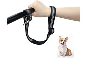 TEKCAM Sangle de sécurité pour chien - Réglable - Courte - Avec poignée rembourrée douce - Pour la marche - Réfléchissante - Anti-perte - Pour poussette