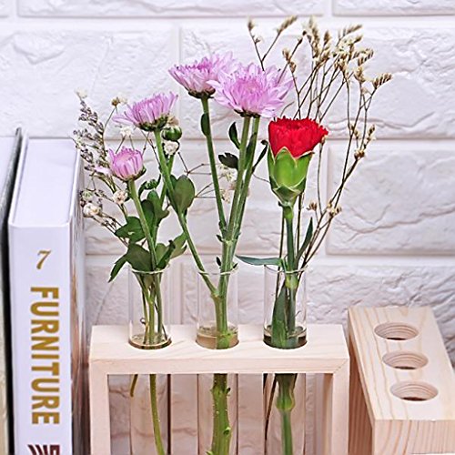 Gazechimp Kristall Glas Vase Halterung Blumen Vase mit Reagenzglasständer Holz Tisch Haus Dekoration - 2