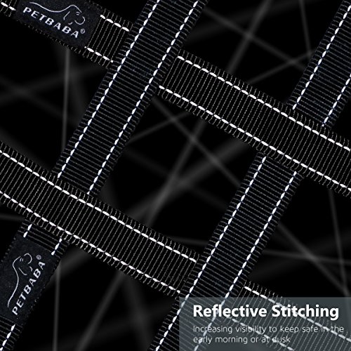 Handle-Dog-Lead-Padded-PETBABA-Reflective-Nylon-Training-Lead-for-Meidum-to-Large-Dogs