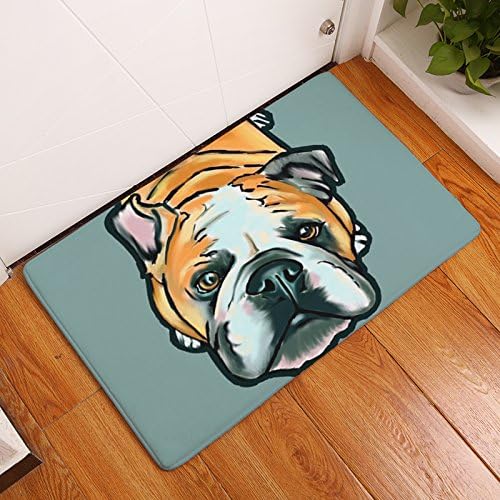 BATTAR - Funny Door Mat Non Slip Entrance Door Rug for Bedroom Living Room Bathroom Indoor Use,Large face dog printing mat,40*60CM,A2