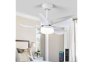 RHEAFON Ceiling Fans with Lights and Remote, 30 Inch Dimmable LED Ceiling Fan,Reversible,6 Speeds & Timer Ultra-Quiet,White Smart Ceiling Fan for Bedroom Kitchen Dining Room Patio