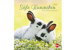 Süße Kaninchen Postkartenkalender 2026: Tierfotografin Monika Wegler setzt in einem kleinen Kalender niedliche Häschen in Szene. Tischkalender im Postkartenformat. (Postkartenkalender Heye)