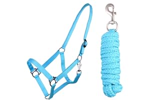 QHP B.V. QHP Halfter-Set Beginner Halfter + Führstrick Heavy Karabinerhaken (Minishetty, Sky)