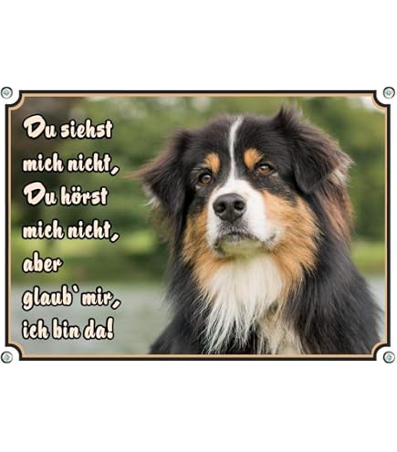 Australian Shepherd Hundeschild - Türschild „Genehmigung Erforderlich“, Alu-Verbundplatte, 20x14 Cm, Wetterfest
