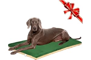 TVMALL Large Travel Dog Bed Mat Indoor & Outdoor Portable Roll Up Mat Reversible Plush Pet Cat Beds Cushion Mattress Blankets, Great for a Garden, Camping, Car Boot, Crate, or Office, Green