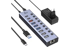LIONWEI USB-Hub Aktiv 3.0 mit Netzteil 60 W, 10 Ports USB 3.0-Hub mit Aufladung, USB-C-Datenanschluss, Ethernet, individueller Ein-/Ausschalter, Multi-Port-Splitter zum Aufladen