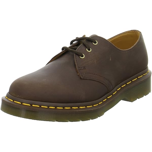 Dr. Martens Anistone BKR leren hoge laarzen Dark Brown Crazy Horse