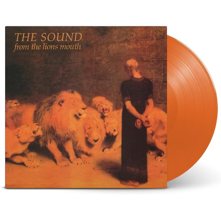 The Sound: The Statik Records Years: Amazon.co.uk: CDs & Vinyl