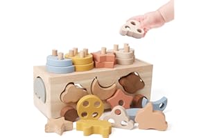 Youuys Montessori Spielzeug Holzspielzeug Kleinwagen für Kinder Montessori Holzform Silikon Sortierspiel Motorikspielzeug aus Holz Lernspielzeug Geschenk für Jungen und Mädchen