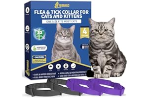 YOTANGO Cat Collar Repellent, 4 Pack Cat Collar-Built-in Pant-Based Formula Strong Repellency Slow Release, Pleasant Aroma, Waterproof (PurpleBlack)