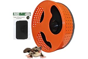 Exotic Nutrition 12" Silent Runner | Sugar Glider Practice Wheel