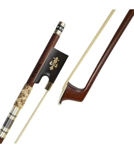 Guinzaglio Di Violino, Di Peli Di Cavallo Bianchi, Di Corde Immagine