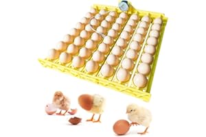 PAIDUOJI Plateau à Oeufs Automatique de Nouveau Style avec Moteurs 220V pour incubateur à 56 Oeufs