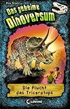 Das geheime Dinoversum - Die Flucht des Triceratops: Band 2 by