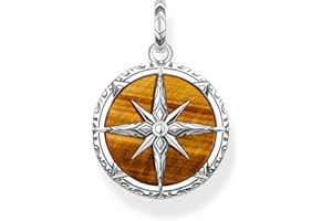 Thomas Sabo Herren Ketten Anhänger Kompass, mit Edelstein-Inlay aus braunem Tigerauge, 925er Sterlingsilber geschwärzt, Maße: 34 x 24 mm, PE833-826-2