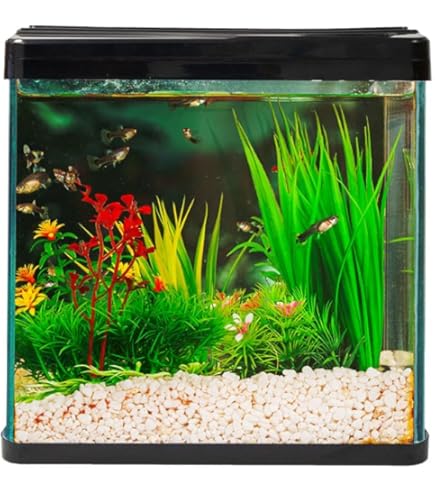 Swell Aquaventure Aquarium 38cm White