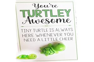 LEYITENG Tortoise Gifts,Motivational Gifts,Turtle Gifts,Gift For Someone Going Through A Hard Time,You're Turtley Awesome, Positive Energy Gifts, Lovely Cute Turtle Shaped Card Friendship Gift