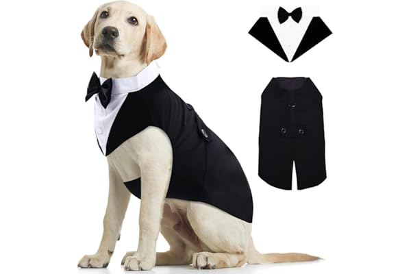 Kuoser Costume de Smoking pour Chien de Petite et Moyenne Taille, Chemise pour Chiot avec Nœud Papillon Noir Amovible, Chien Costume Formel pour Fête de Mariage Festival