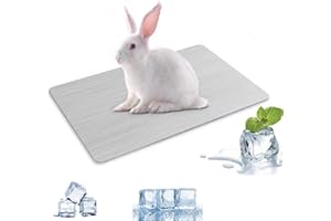 MUYYIKA Cojín de refrigeración para conejos, cojín de refrigeración para mascotas, placa de refrigeración de aleación de aluminio, para cobayas, hámster, conejo, etc. (300 x 200 mm)