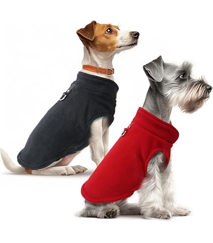 2 Pulls Pour Chien Style Universitaire - En Coton Doux Avec Finition Velours - Taille M - Parfait Pour L'automne Et L'hiver