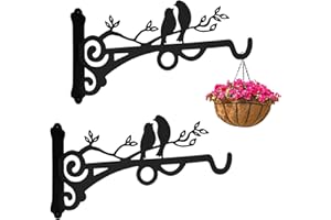 PANYI 2Pezzi Staffa per Cesto Appeso Pianta Staffa Ferro Ganci Staffa Piante Adatta per Appendere Eolici Casette per Uccelli Decorazioni da Giardino e Altro Ancora Aggiungendo un Tocco Naturale e Artistico