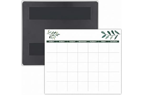 Magnetisk kylskåpskalender 18 månader 18 x 12 tum 2026-2027 juli 2026-juni 2027 bladdesign väggkalender vit för hemmakontor