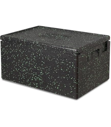 Caisse Isotherme Transport 21 Litres THE BOX - 60x40x18.5 Cm, Polypropylène, Lavable Au Lave-vaisselle