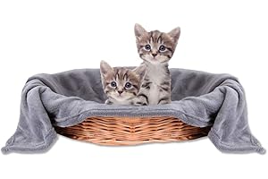 Bestlivings Couverture douillette pour animal de compagnie - Agréable et super douce - Disponible dans de nombreux choix (60 x 80 cm / gris pierre - anthracite)