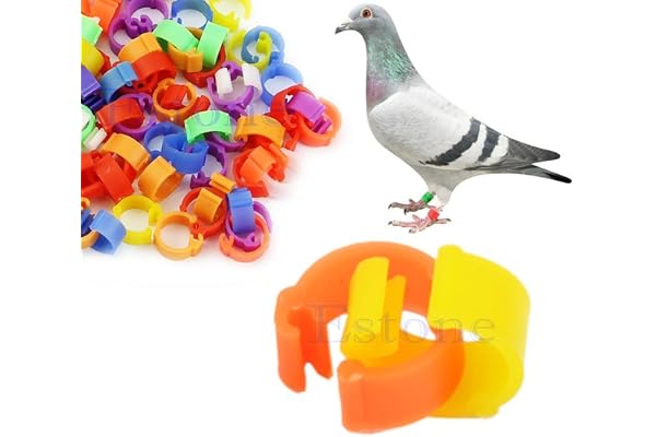 Cuigu 100 Pcs Bagues/Anneaux de Pied pour Oiseaux/Pigeon Pignon Anneaux d'Identification A Pieds pour Oiseaux, Couleur Aleatoire (Plastique)
