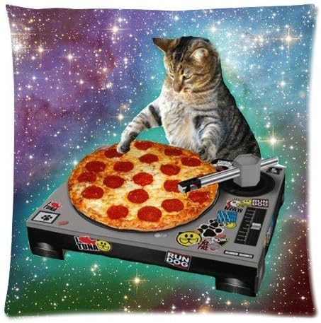 Levionlinesale No.1381 Hipster DJ Cat Pizza Pillow Cover Decorative Pillows For Sofa