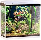 Sweetypet Aquarium-Komplettset: Nano-Aquarium-Komplett-Set mit LED-Beleuchtung, Pumpe &amp; Filter, 40 l (Panorama-Aquarium)