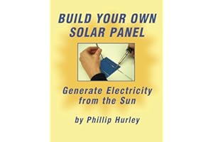 Build Your Own Solar Panel: Generate electricity from the sun.