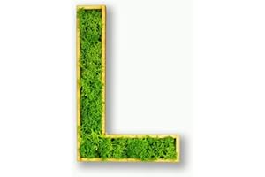 ‎MOOSLY Moosly® Moosbild - L - mit Rahmen aus Holz, Moos Deko Buchstaben Zeichen Symbol Zahl Holzbuchstabe mit echtem Islandmoos Wandtattoo Wandsticker Wandbild selbstklebend Wohnzimmer (113 L)