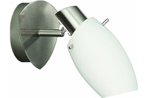 Philips Lighting 509901710 Usagi Spot Singolo, Acciaio Spazzolato e Vetro Satinato, Bianco