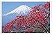 Produktbild Metall Poster Blechschilderplatte Blechschild Plakat Mount Fuji Blossoms Retro Weinlese Kunstdrucke by hamgaacaan (20x30cm)