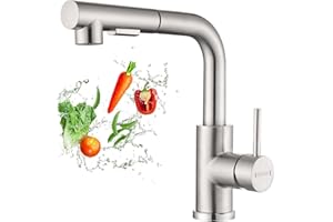 DAYONE Kitchen Taps with Pull Out Spray, Stainless Steel Sink Taps, Two Spray Function Mixer Tap Down Sprayer, 360° Swivel Single Lever Faucet, Brushed-stainless (DAY-G6808BN)