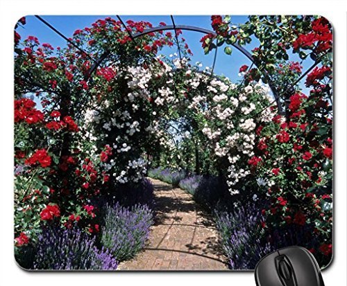 Preisvergleich Produktbild Rose covered pergolas Mouse Pad, Mousepad (Flowers Mouse Pad)